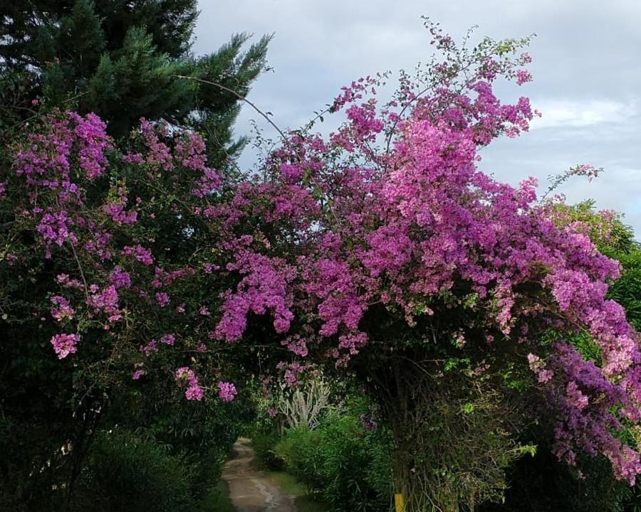 Fazenda Colibri Inn Amargosa